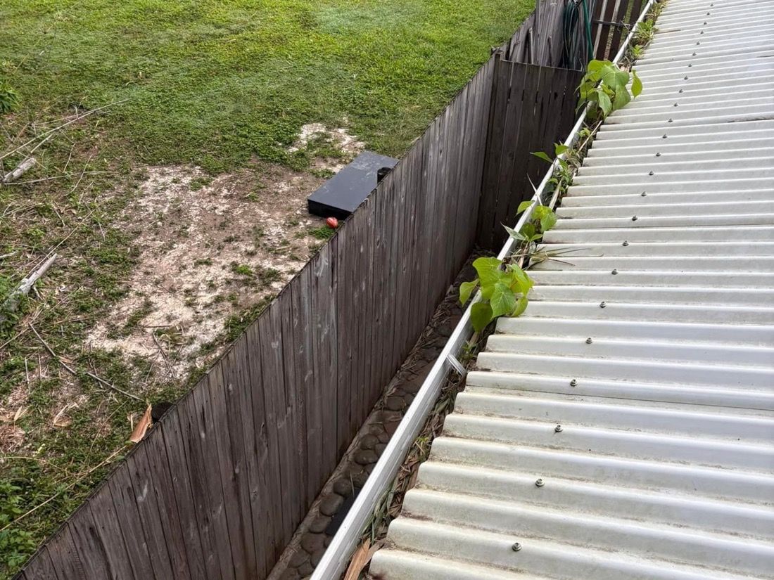 A metal roof gutter with weeds growing out of it