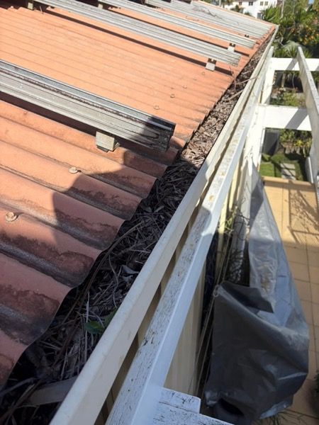 A roof gutter packed with leaves and debris