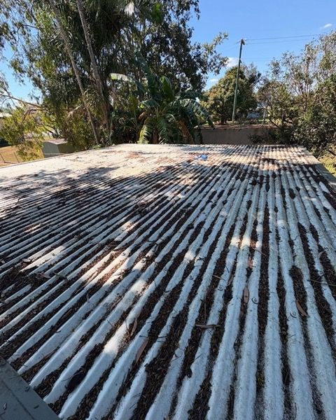 A corrugated roof shaded by trees